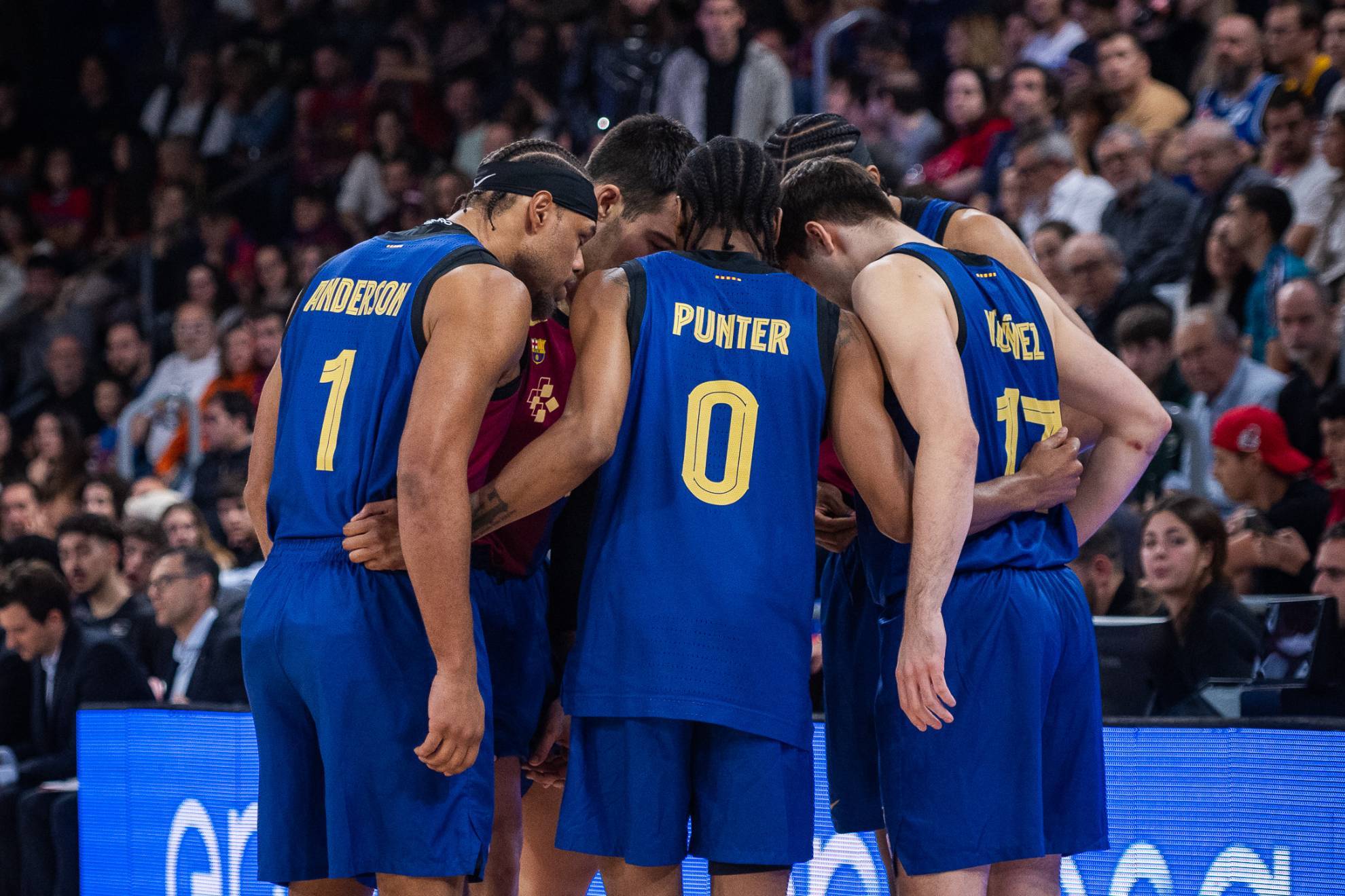 许多年轻球 许多年轻球