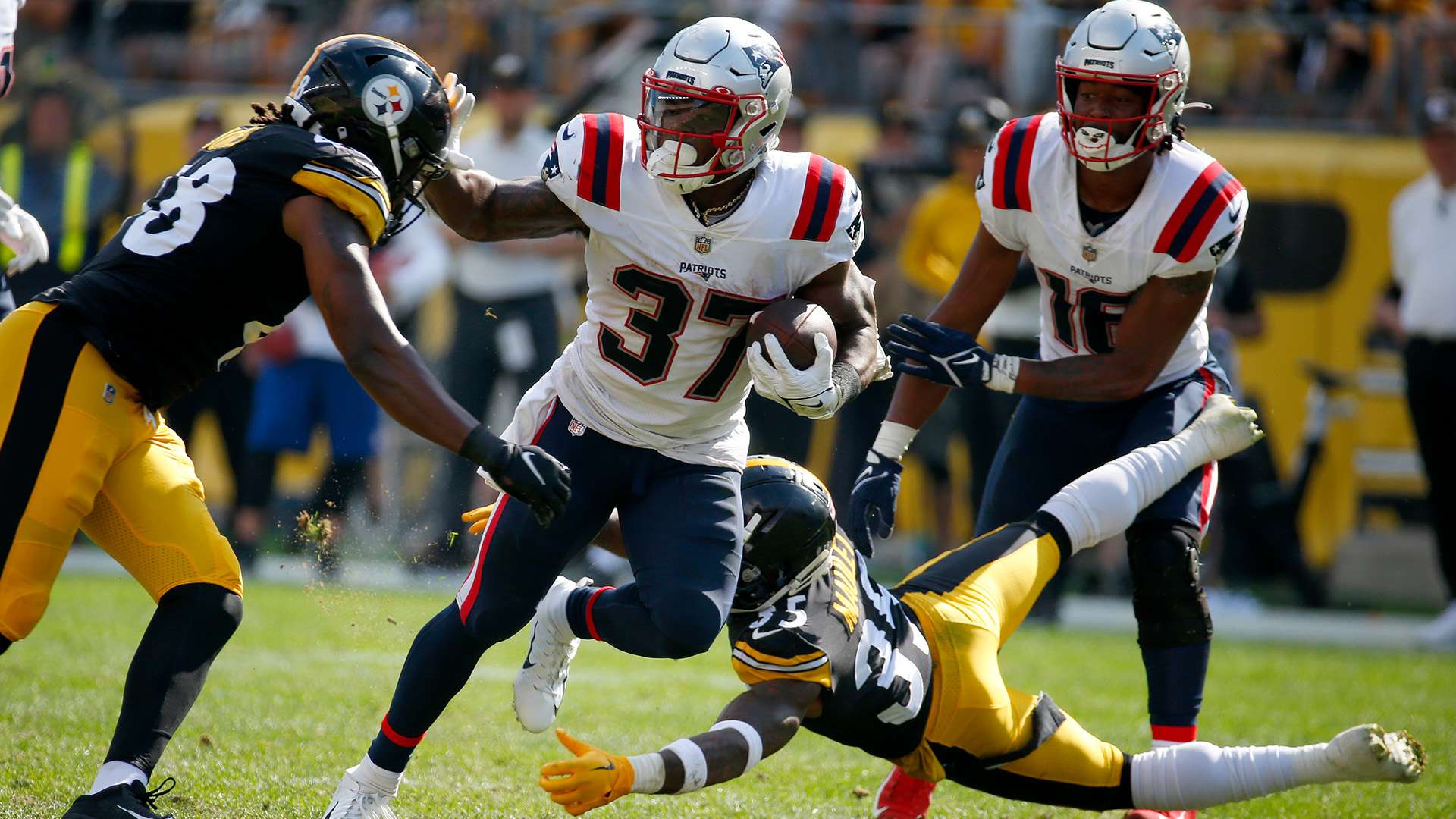 了极强的稳 了极强的稳